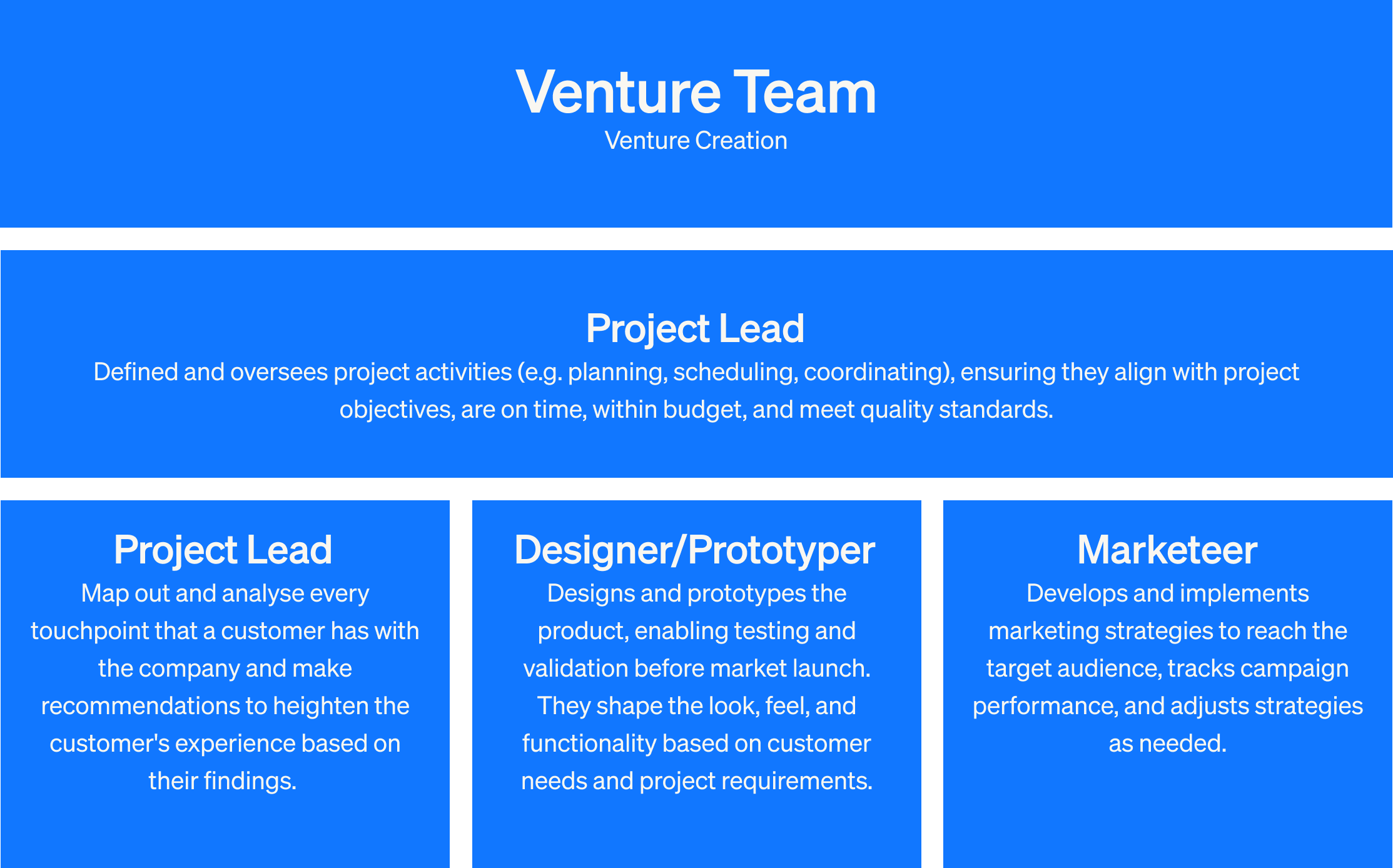 corporate venture team