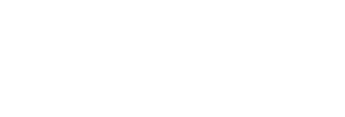 The Magnum Ice Cream Company